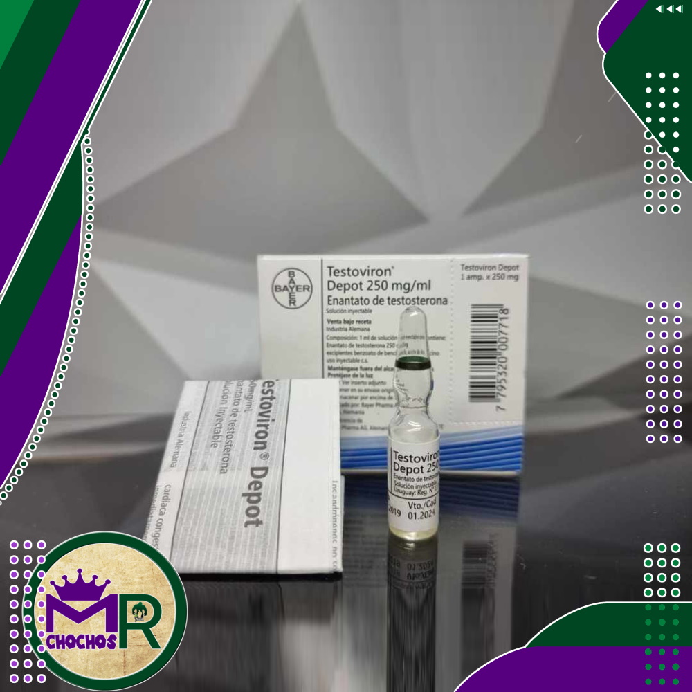 Testoviron Depot [Enantato de testosterona 250 mg] – 1 Amp – Bayer